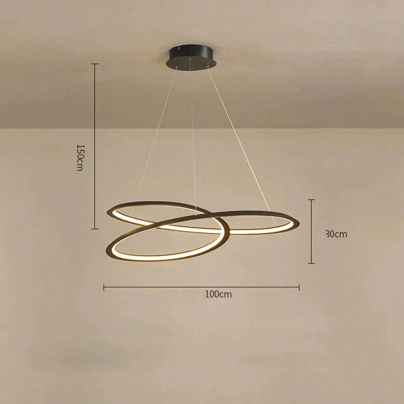 Household Simple Led Dining Room Lights Bedroom Wrought Iron Circular Lighting Lamps Black / Large