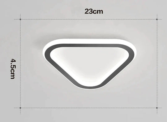 Simple Ceiling Lamp Personalized Creativity Ultra - Thin Corridor Light Luxury Cloakroom Led Anode