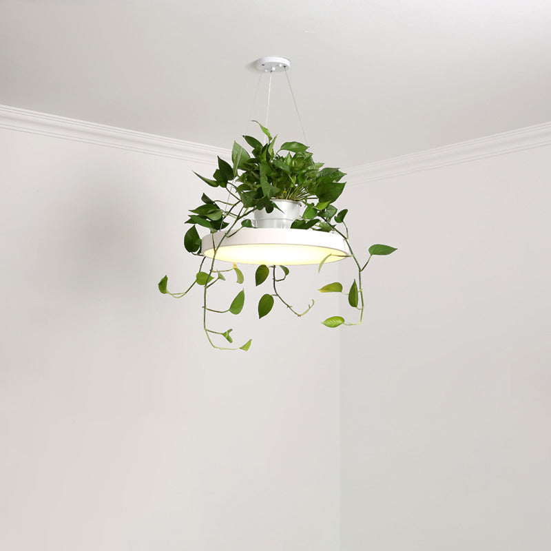 Brooklyn - Round Macaron Hanging Light Acrylic Led Pendant Lighting Fixture In Black/Grey/White