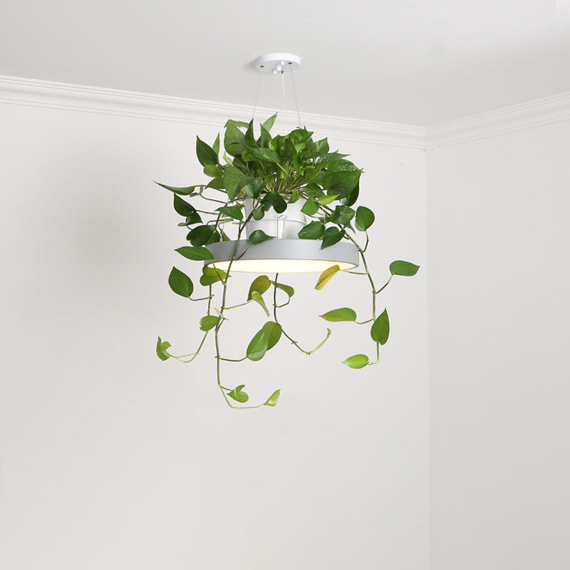 Brooklyn - Round Macaron Hanging Light Acrylic Led Pendant Lighting Fixture In Black/Grey/White