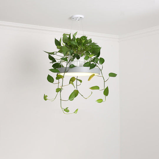 Brooklyn - Round Macaron Hanging Light Acrylic Led Pendant Lighting Fixture In Black/Grey/White