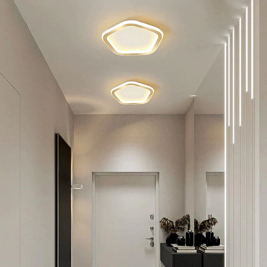 Simple Ceiling Lamp Personalized Creativity Ultra - Thin Corridor Light Luxury Cloakroom Led Anode