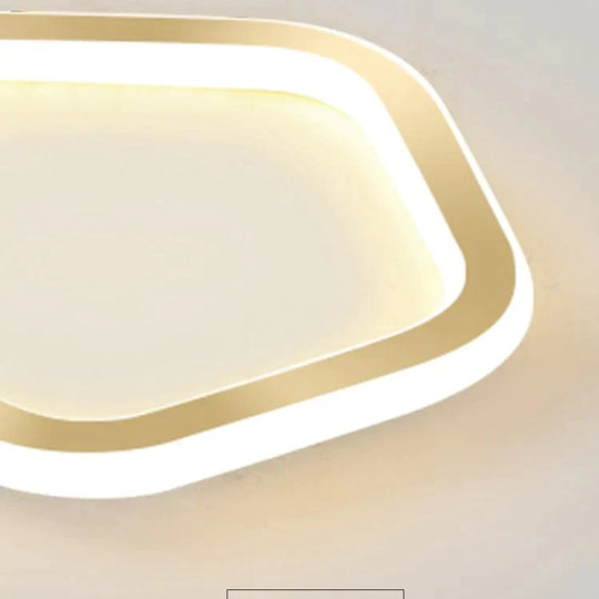 Simple Ceiling Lamp Personalized Creativity Ultra - Thin Corridor Light Luxury Cloakroom Led Anode