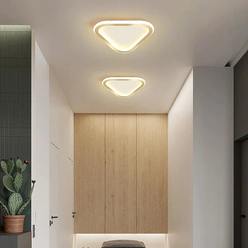 Simple Ceiling Lamp Personalized Creativity Ultra - Thin Corridor Light Luxury Cloakroom Led Anode