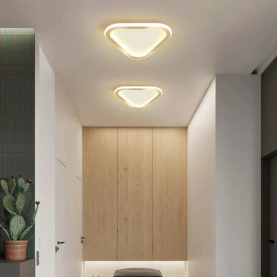 Simple Ceiling Lamp Personalized Creativity Ultra - Thin Corridor Light Luxury Cloakroom Led Anode