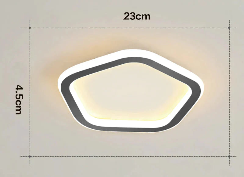 Simple Ceiling Lamp Personalized Creativity Ultra - Thin Corridor Light Luxury Cloakroom Led Anode