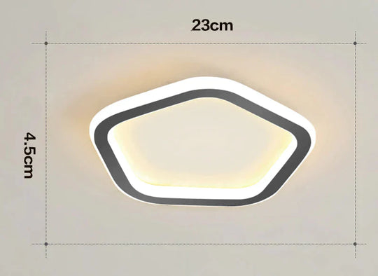 Simple Ceiling Lamp Personalized Creativity Ultra - Thin Corridor Light Luxury Cloakroom Led Anode