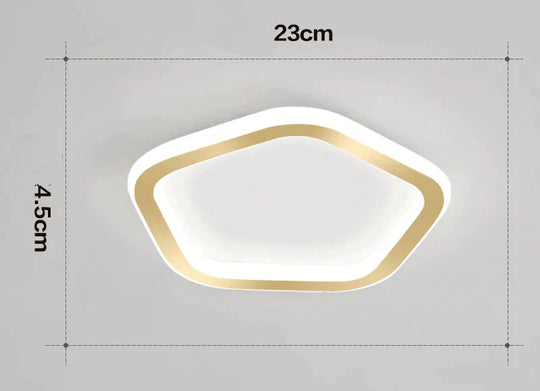 Simple Ceiling Lamp Personalized Creativity Ultra - Thin Corridor Light Luxury Cloakroom Led Anode