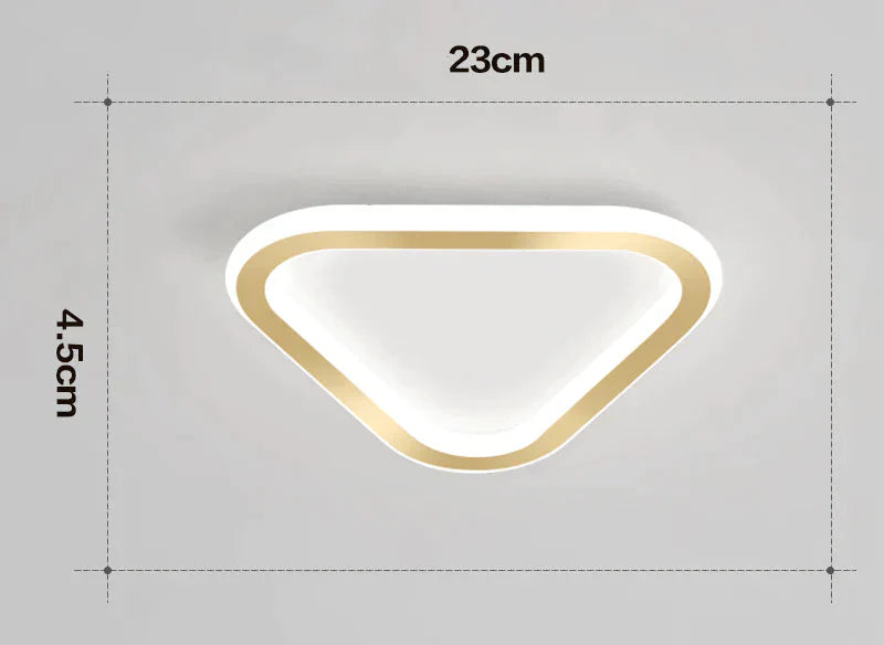 Simple Ceiling Lamp Personalized Creativity Ultra - Thin Corridor Light Luxury Cloakroom Led Anode
