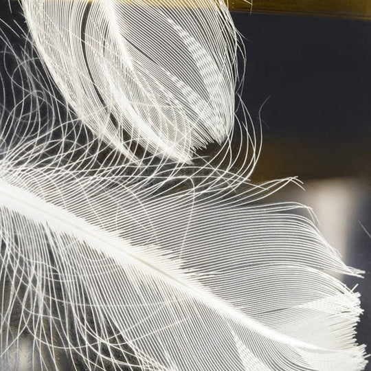 Feather Ceiling Lamp Of Nordic Light In The Bedroom Simple Modern Warm Romantic Master