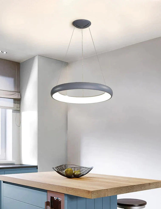 Black Simple Acrylic Ring Pendant Gray / Small Neutral Light