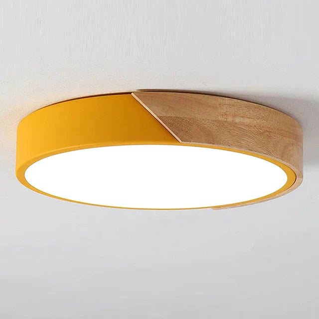 Erica - Modern Led Ceiling Light Lamp Living Room Lighting Fixture Bedroom Kitchen Surface Mount