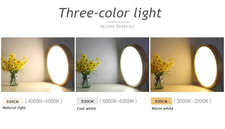 Helena - Led Ceiling Light Modern Lamp Panel Living Room Round Lighting Fixture Remote Control