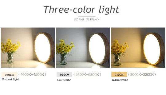Helena - Led Ceiling Light Modern Lamp Panel Living Room Round Lighting Fixture Remote Control