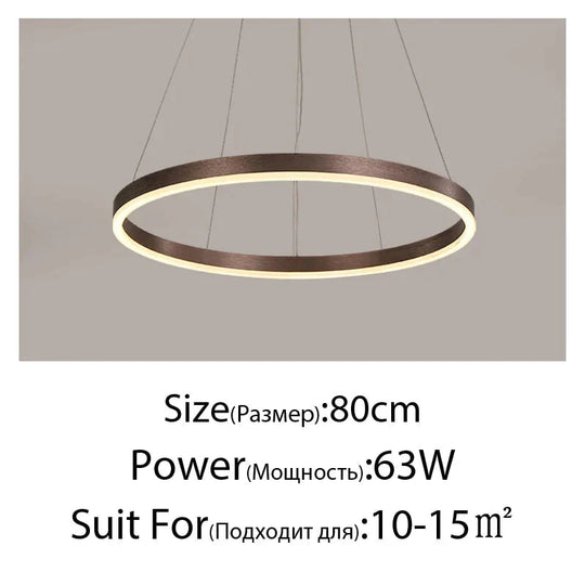 Nordic Art Deco Luxury Led Circular Pendant Lights Hanging Lamps For Living Room Dining Table