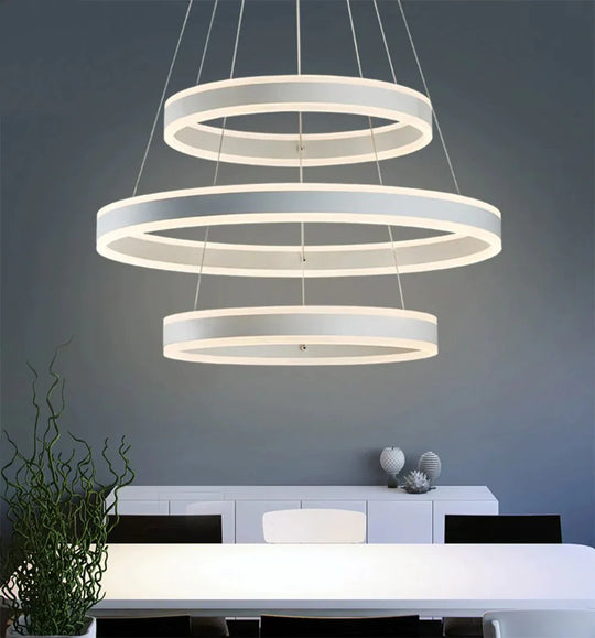 Nordic Ring Pendant Lamp Restaurant Bar Lighting Led Circle Hanging Stepless Dimming Steel Wire