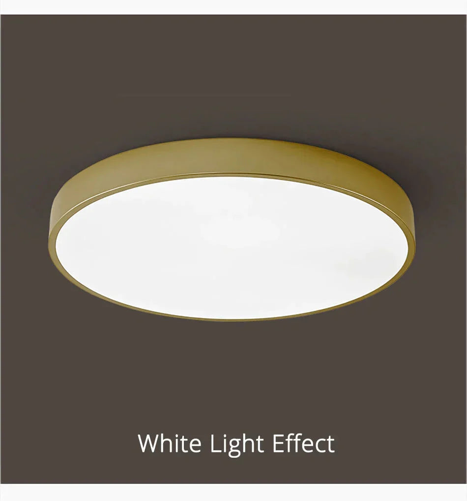 Round Ceiling Light Fixture Modern Led Lights Gold Lampshade For Living Room Bedroom Lamp Fixtures