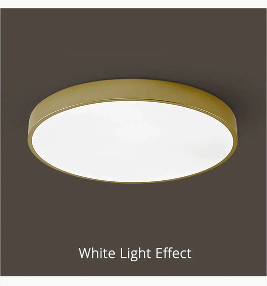 Round Ceiling Light Fixture Modern Led Lights Gold Lampshade For Living Room Bedroom Lamp Fixtures