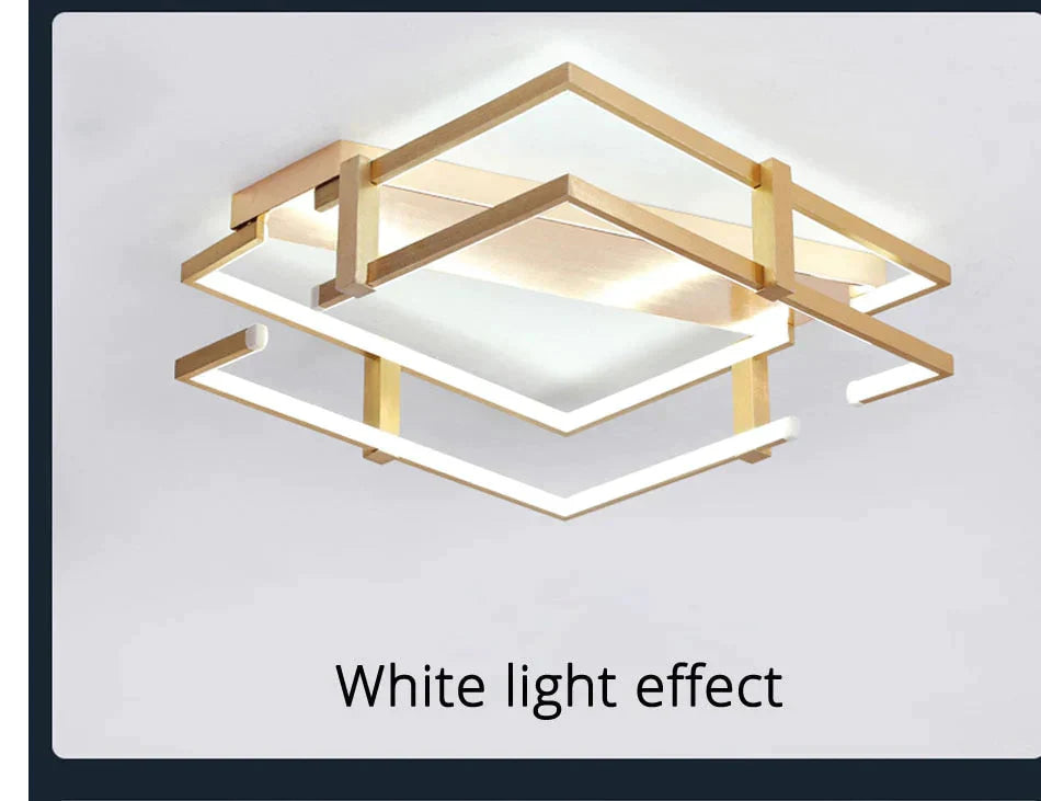 Ceiling Lights Gold Body Round/Square For Bedroom Living Room Remote Control Led Lamps