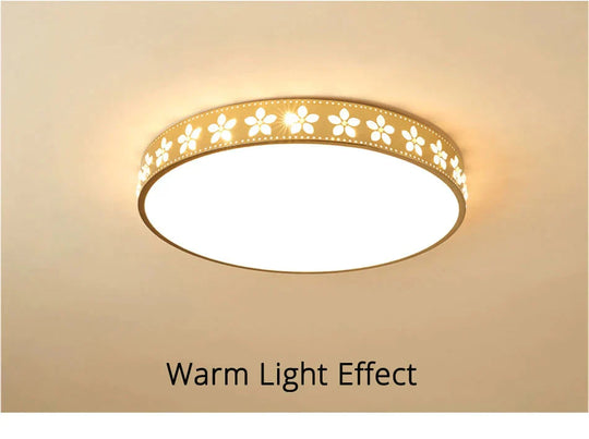 New Simple Modern Atmosphere Living Room Lamp Home Hall Headlights Led Ceiling Rectangular Lighting