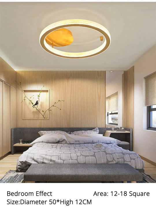 Gold/Coffee Color Ceiling Lights Bedroom Study Room Living Remote Control Surface Mounted Lighting