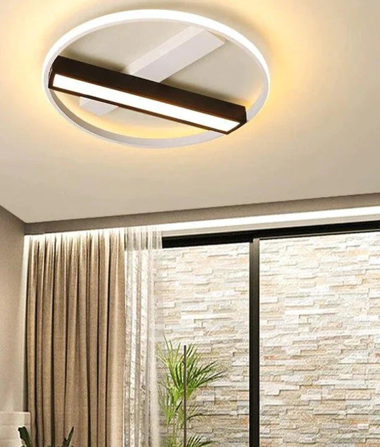 Remote Control Living Room Bedroom Ceiling Lights White And Black Iron Body Surface Mounted Led