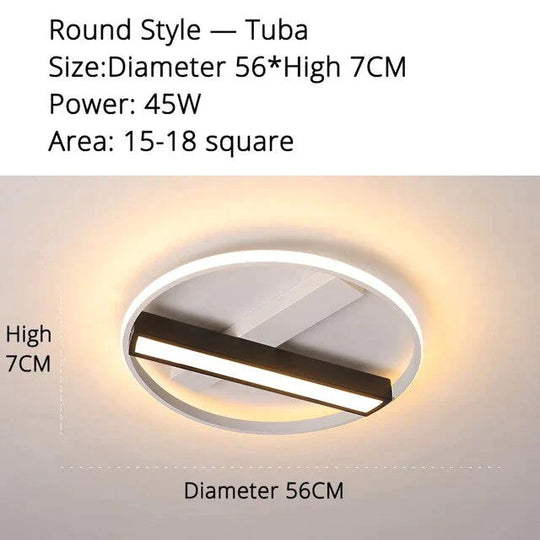Remote Control Living Room Bedroom Ceiling Lights White And Black Iron Body Surface Mounted Led