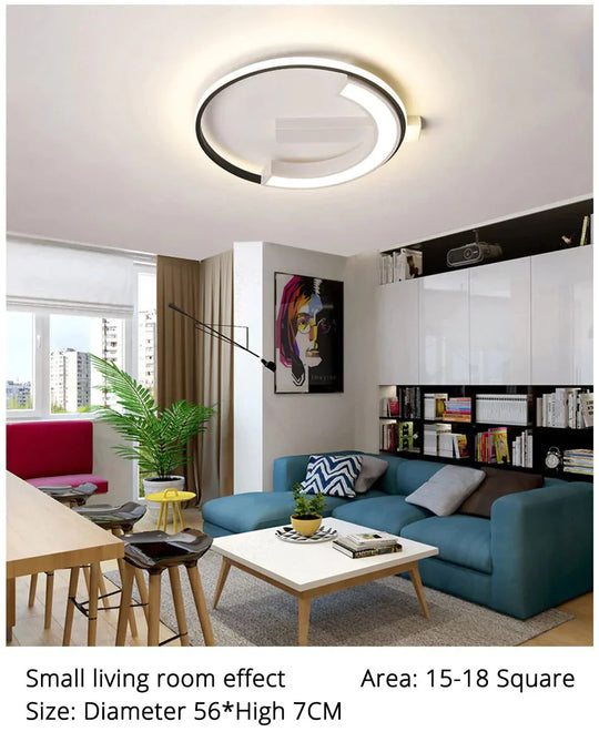 Remote Control Living Room Bedroom Ceiling Lights White And Black Iron Body Surface Mounted Led