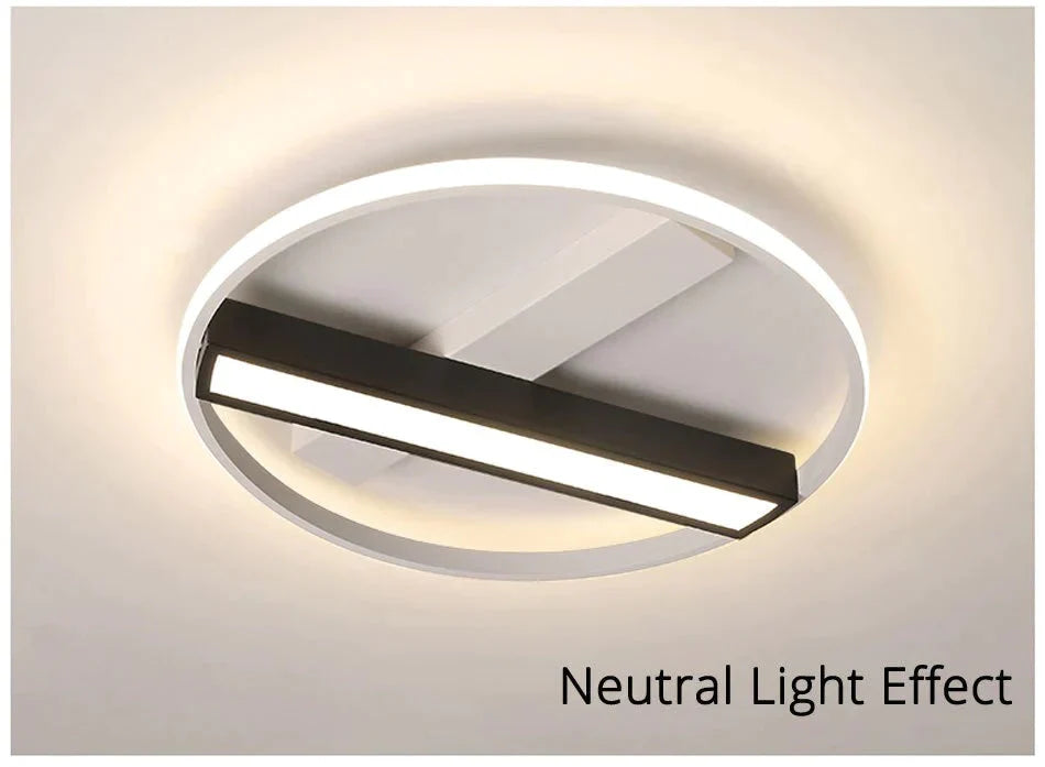 Remote Control Living Room Bedroom Ceiling Lights White And Black Iron Body Surface Mounted Led