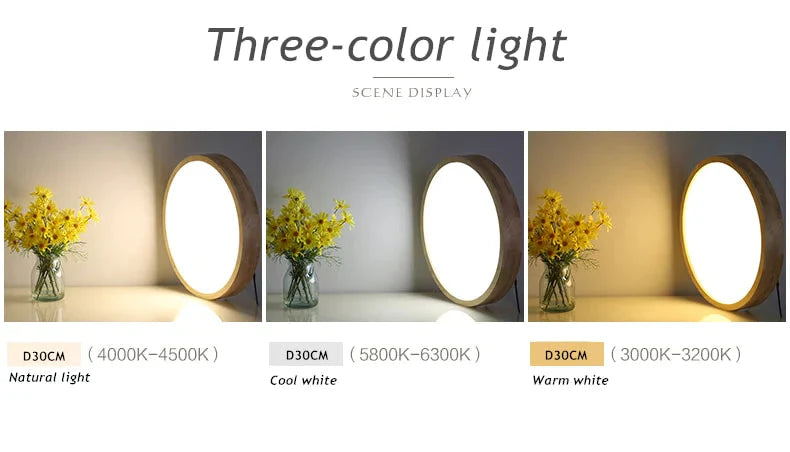Led Ceiling Light Modern Lamp Panel Living Room Round Lighting Fixture Remote Control