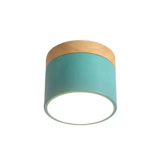 Nordic Ceiling Lights Modern Porch Aisle Corridor Led Lighting Fixtures Green / Cold White