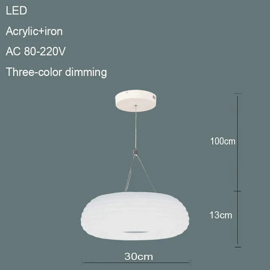 Nordic Pendant Lamp Round Simple Modern Led Acrylic Three - Color Dimming Lamps Living Room Hotel