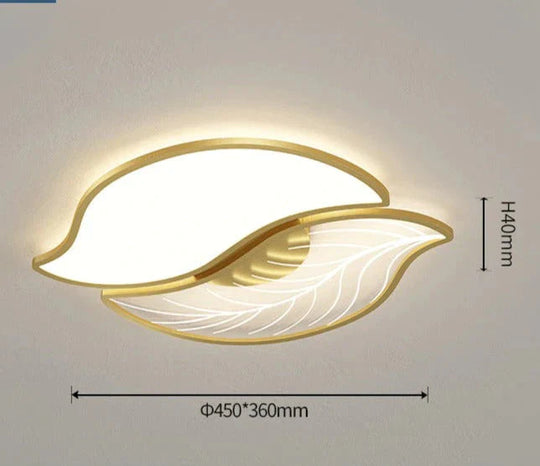 Simple Ceiling Lamp Master Bedroom Room Dining Study Balcony Led Living Gold / Dia45Cm White Light